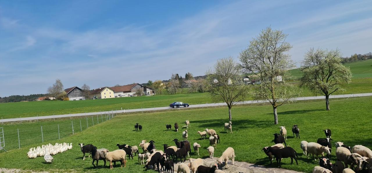 Landgasthof Entenwirt Tarsdorf Exteriör bild