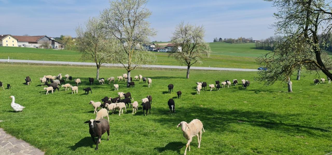 Landgasthof Entenwirt Tarsdorf Exteriör bild