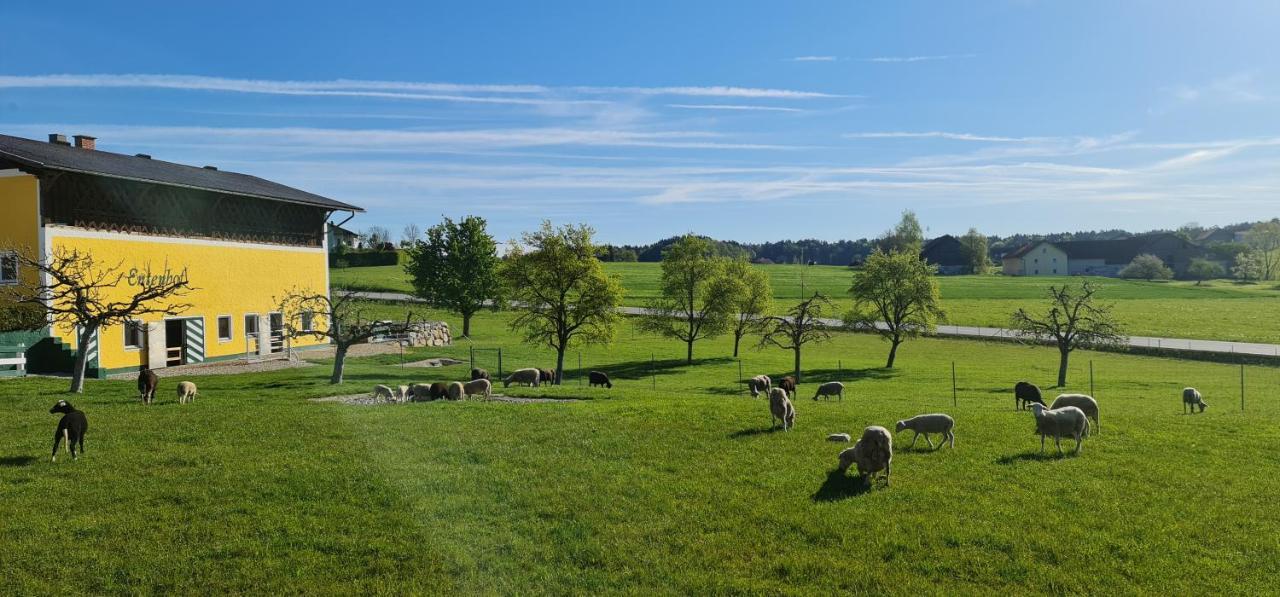 Landgasthof Entenwirt Tarsdorf Exteriör bild