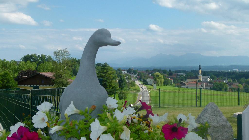 Landgasthof Entenwirt Tarsdorf Exteriör bild